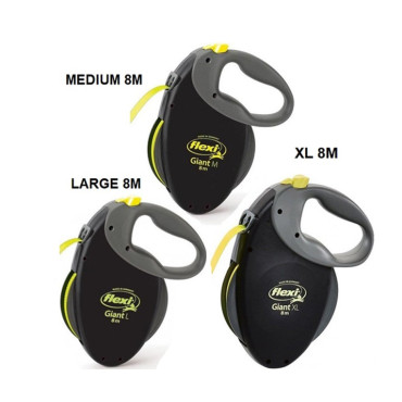 FLEXI GIANT