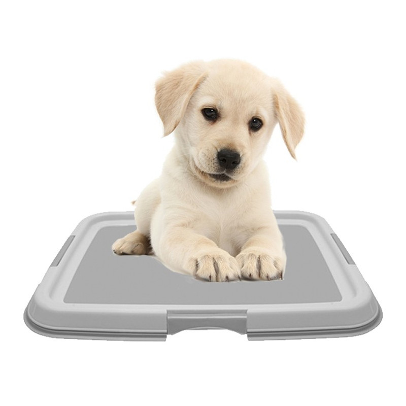 DOGIT CLEAN TRAINING PAD HOLDER