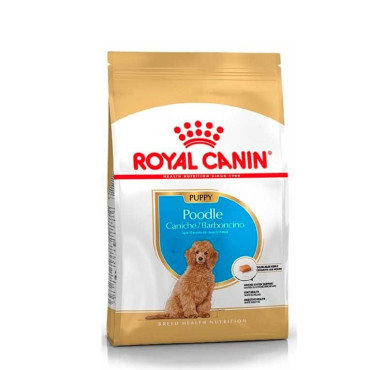 ROYAL CANIN POODLE PUPPY