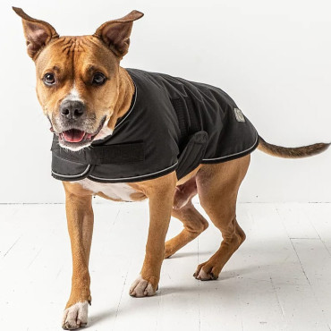 GF Pet™ Blanket Jacket