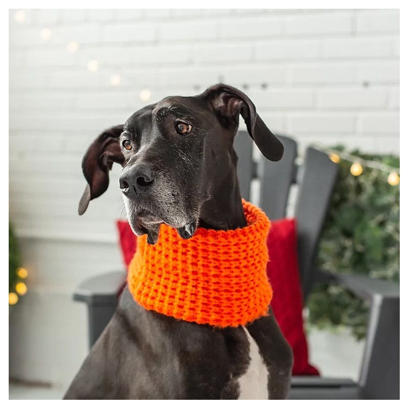 GF PET™ SCOUT TUBE SCARF - ORANGE