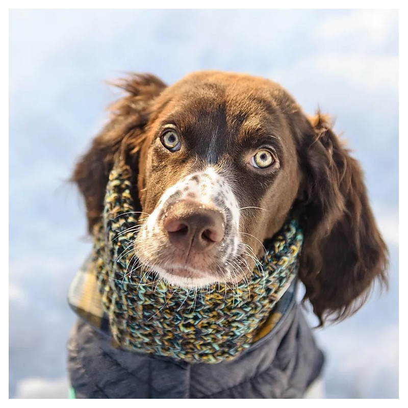 GF PET™ SCOUT TUBE SCARF - NAVY