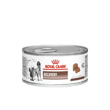 ROYAL CANIN RECOVERY CATS/DOGS