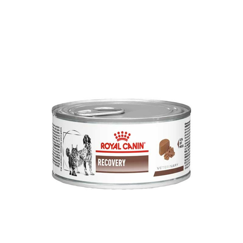 ROYAL CANIN RECOVERY CATS/DOGS