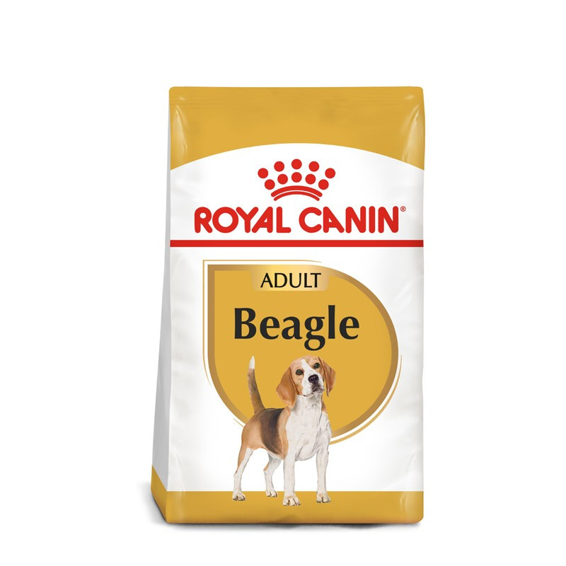ROYAL CANIN BEAGLE ADULT