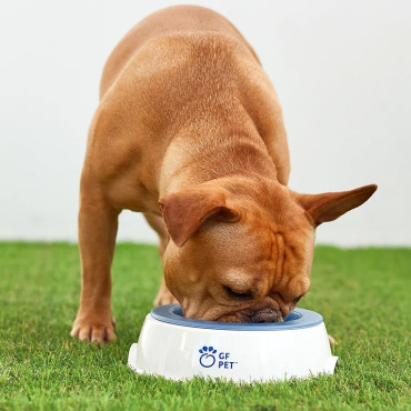 GF PET® ICE BOWL™