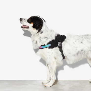 ZEE.DOG FLYHARNESS GOTHAM