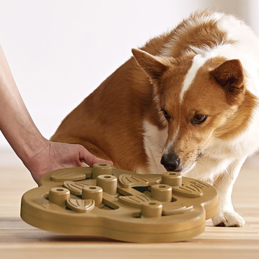 DOG HIDE N`SLIDE - COMPOSITE