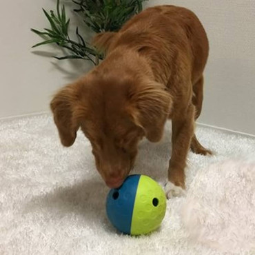 TREAT TUMBLE - SMALL