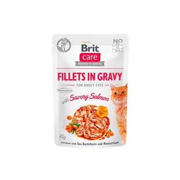 BRIT CARE CAT FILLETS IN GRAVY WITH SAVORY SALMON POUCH