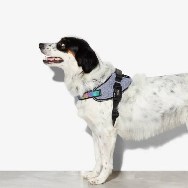 ZEE.DOG FLYHARNESS URBAN