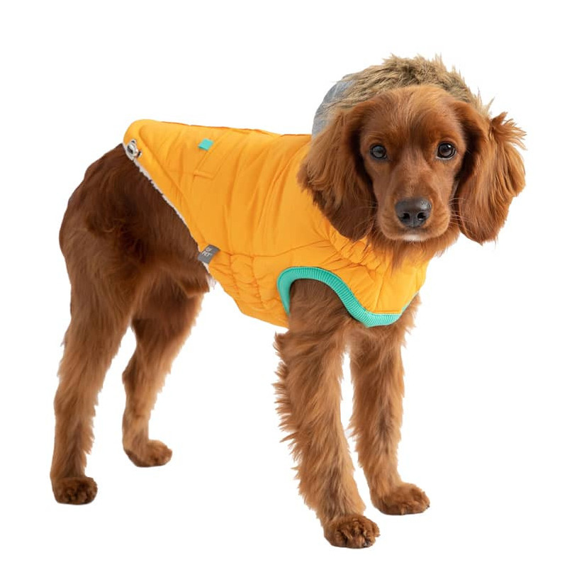 GF PET™ WINTER SAILOR PARKA - YELLOW