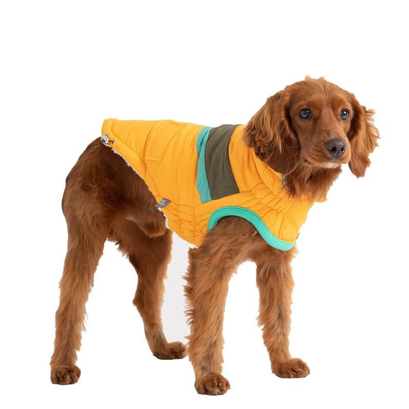 GF PET™ ALPINE PUFFER - YELLOW