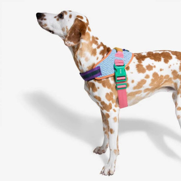 ZEE.DOG FLYHARNESS GALAXY