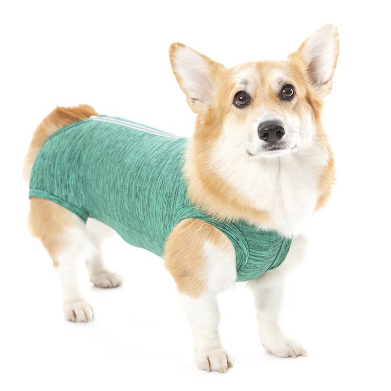 BODY- PET MED ROPA POSTQUIRÚRGICA - VERDE