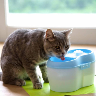 CAT H20 FUENTE CELESTE PARA GATOS
