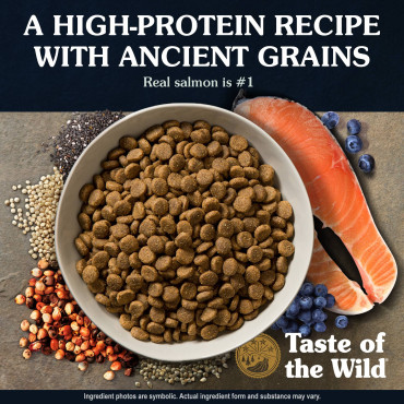 TASTE OF THE WILD ANCIENT STREAM