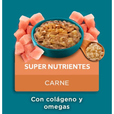 PURINA ONE ALIMENTO HÚMEDO - SÚPER NUTRIENTES
