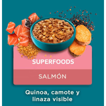 PURINA ONE ALIMENTO HÚMEDO - SUPERFOODS