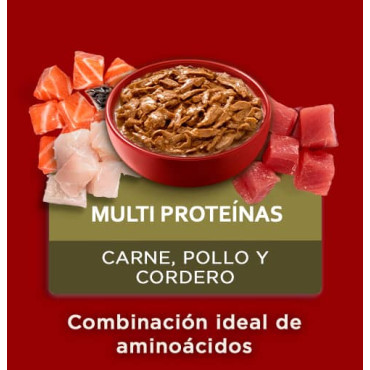 PURINA ONE ALIMENTO HÚMEDO PERROS - MULTIPROTEÍNAS