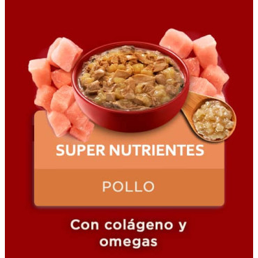 PURINA ONE ALIMENTO HÚMEDO PERROS - MULTI NUTRIENTES