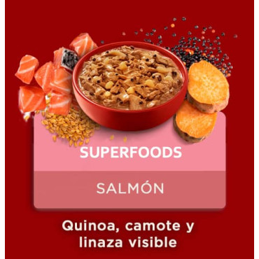 PURINA ONE ALIMENTO HÚMEDO PERROS - SUPERFOODS