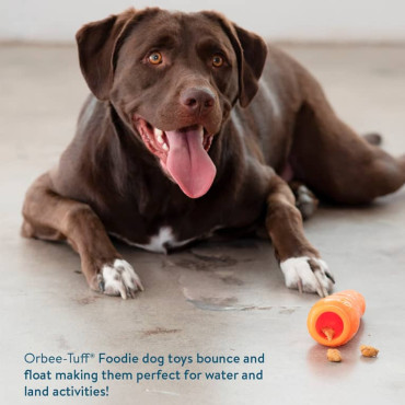 PLANET DOG ORBEE-TUFF&reg; ZANAHORIA