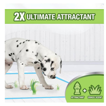 WEE-WEE® DOG PEE PADS WITH GRASS SCENT
