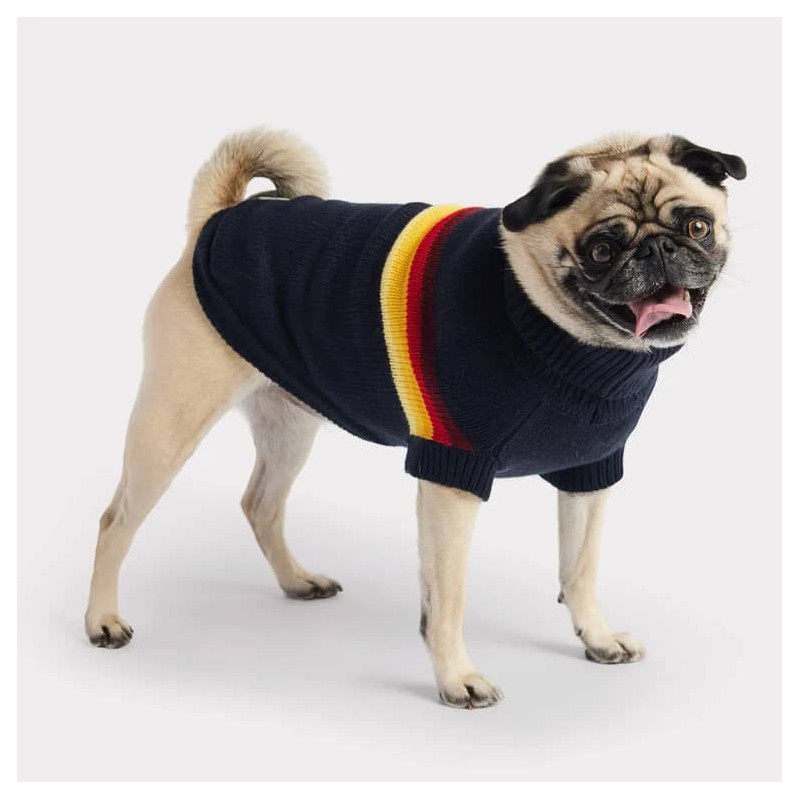 GF PET™ RETRO SWEATER - AZUL MARINO