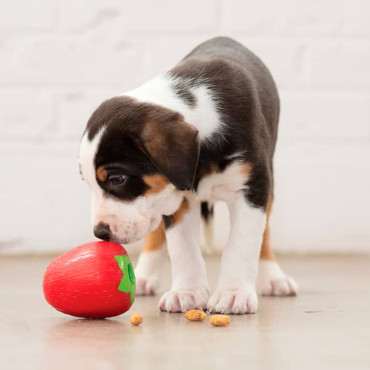 PLANET DOG ORBEE-TUFF&reg; FRUTILLA