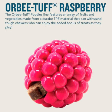 PLANET DOG ORBEE-TUFF&reg; FRAMBUESA