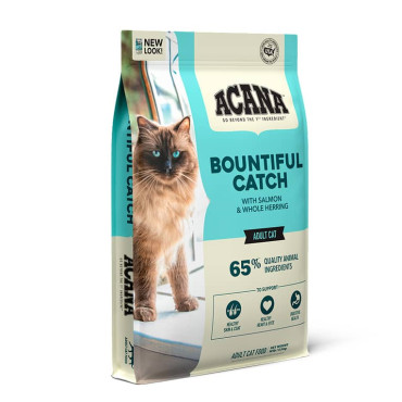 BOUNTIFUL CATCH CAT