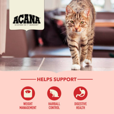 ACANA INDOOR ENTRÉE CAT