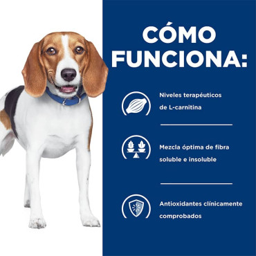 HILL´S R/D WEIGHT LOSS CANINO