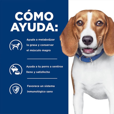 HILL´S R/D WEIGHT LOSS CANINO