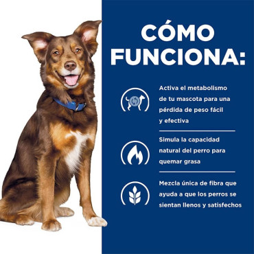 HILL´S PRESCRIPTION DIET METABOLIC CANINO