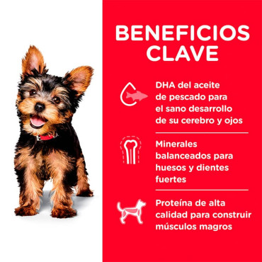 HILL´S SCIENCE DIET PUPPY SMALL PAWS