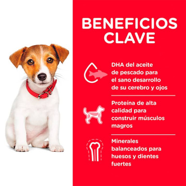 HILL´S SCIENCE DIET PUPPY SMALL BITES CHICKEN & BARLEY RECIPE