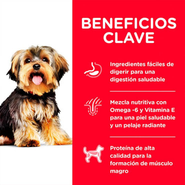 HILL´S SCIENCE DIET ADULT SMALL PAWS CHICKEN MEAL & RICE RECIPE