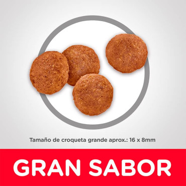 HILL´S SCIENCE DIET ADULT LARGE BREED CHICKEN & BARLEY RECIPE