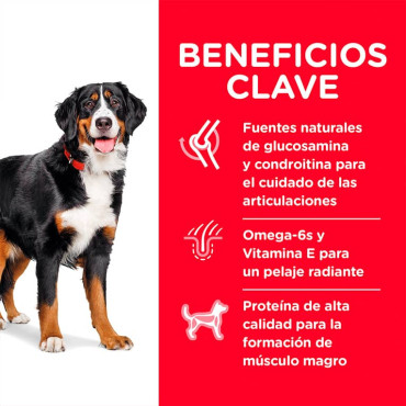 HILL´S SCIENCE DIET ADULT LARGE BREED CHICKEN & BARLEY RECIPE