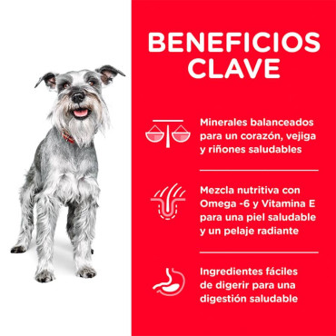 HILL´S SCIENCE DIET ADULT 7+ SMALL PAWS™