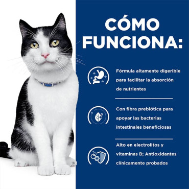 HILL´S I/D DIGESTIVE CARE FELINO