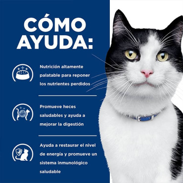 HILL´S I/D DIGESTIVE CARE FELINO