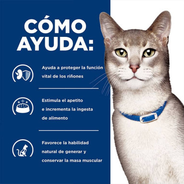 HILL´S PRESCRIPTION DIET K/D KIDNEY CARE FELINO