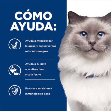 HILL´S PRESCRIPTION DIET R/D WEIGHT LOSS FELINO