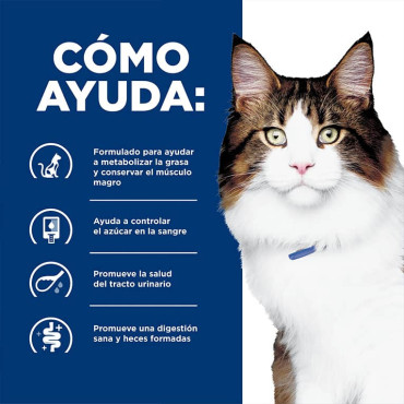 HILL´S PRESCRIPTION DIET W/D MULTI BENEFIT FELINO