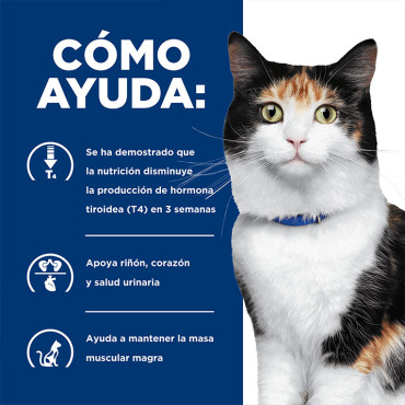 HILL´S Y/D PRESCRIPTION DIET THYROID CARE FELINO