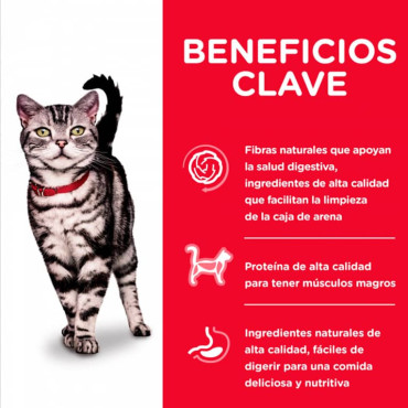 HILL´S SCIENCE DIET ADULT INDOOR FELINO