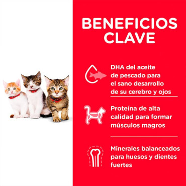HILL´S SCIENCE DIET KITTEN CHICKEN RECIPE